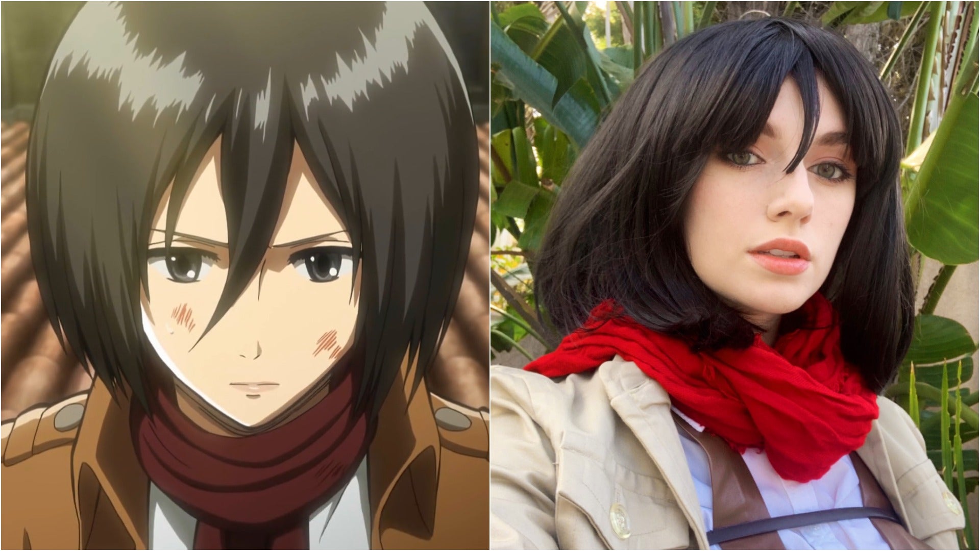 Mikasa cosplay deals